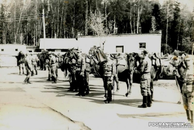 Колхоз Конная подготовка 1992г..jpg