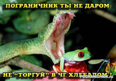 Пограничник ты не даром !!!