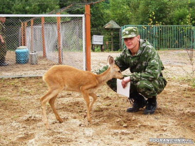 Хасанский пого, погз "Синий Утес"