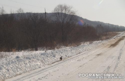 Село Барабаш-Левада Пограничного района Приморского края