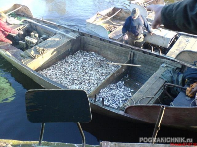 Кумовья приехали за рыбкой