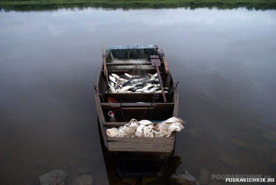 Хасанский пого, плавсредство НГГ