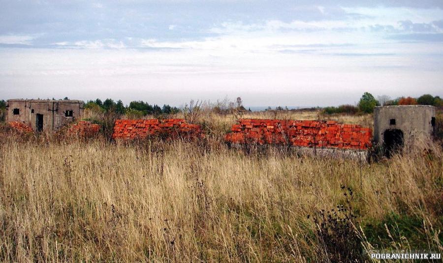 Азери эстония фото