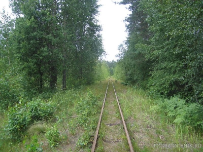 Мещерская узкоколейка. Рязанская обл.