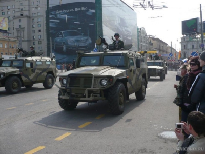 Тигры в городе