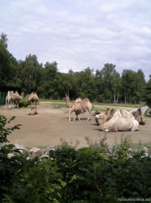 Таллинский зоопарк