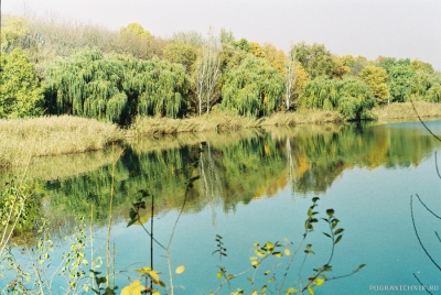 осень,пруд.