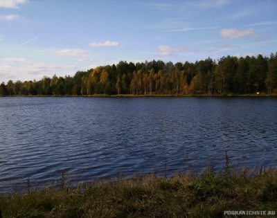 Орловское полесье.