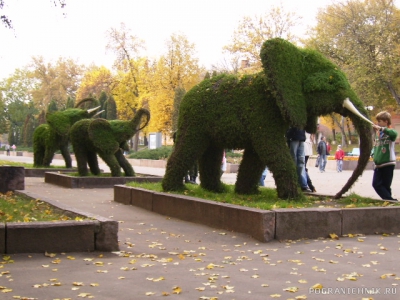 К слонам не приСЛОНяться!!!