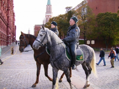 На страже правопорядка.