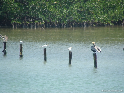 Cuba, Cayo Largo