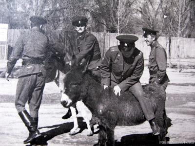 1974 год.Мало навыков верховой езды у Василия Мальцева..jpg