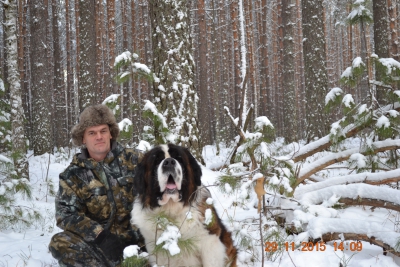 Хозяин Тайги Александрит в родной тайге...)))))