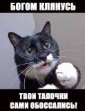 post-32724-0-41291900-1454305101_thumb.jpg