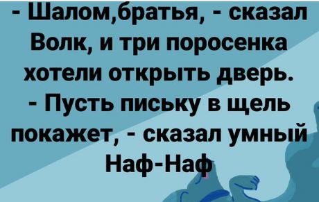 Шалом алейкум перевод. Шалом братья сказал волк. Шалом брат. Шалом сказал серый волк уффф выдохнули три поросёнка. Анекдот Шалом братья.