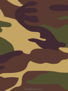 camouflage240x320.gif