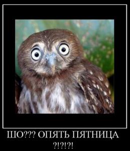 post-21726-0-34349100-1570169155_thumb.jpg