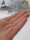 post-9109-0-33361900-1482076552_thumb.jpg