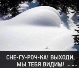 post-337-0-03976100-1607673939_thumb.jpg