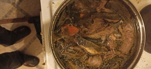 IMG_20210925_194819.jpg