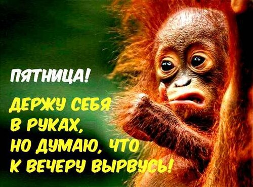 ПЯТ.jpg