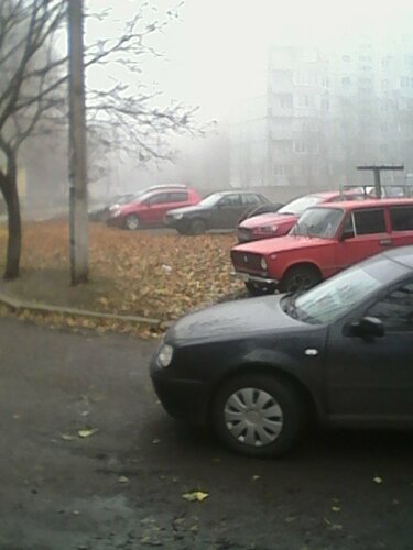 IMG_20211106_094539.jpg