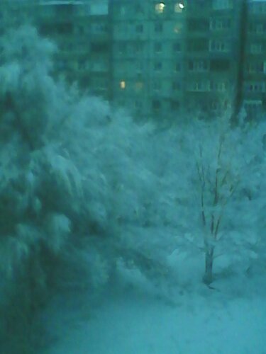 IMG_20211220_074332.jpg