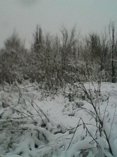 IMG_20211220_105859.jpg