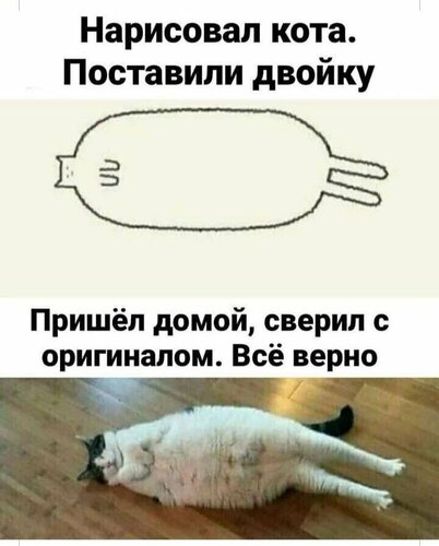 кот.jpg