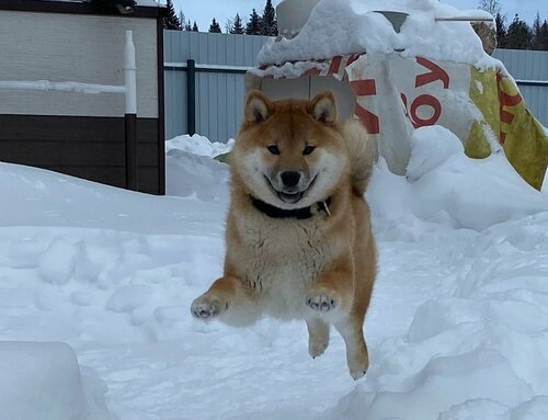 Яся 5 мес и 2 нед —.jpg