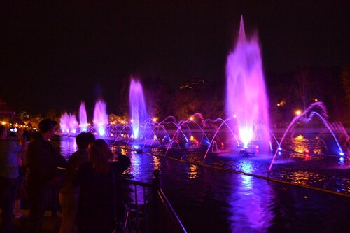 DSC_0020.thumb.JPG.f2dcbbd7f9a03434bbf8e8c164c48844.JPG