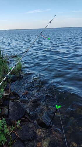 IMG-20230815-WA0000.jpeg
