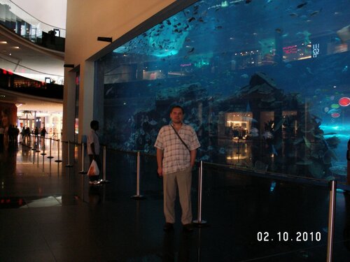 PICT0028.thumb.JPG.7da337087014393fbd46b0c70d5a7594.JPG