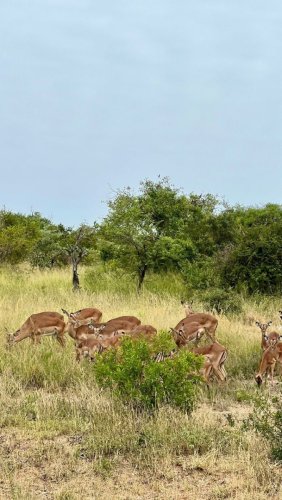 photo_2024-02-23_07-01-33 (2).jpg