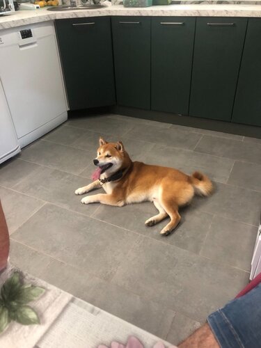 photo_2024-06-30_20-50-25 (2).jpg