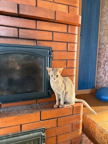 photo_2026-03-23_12-51-30 (2).jpg