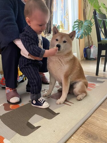 photo_2026-03-27_13-59-33 (2).jpg