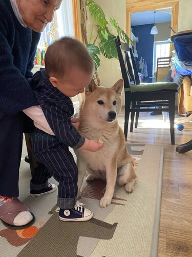 photo_2026-03-27_13-59-33 (3).jpg