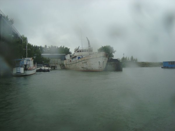 DSC06454.JPG
