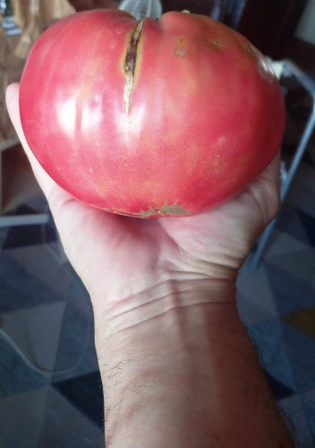 20260818_075706.jpg