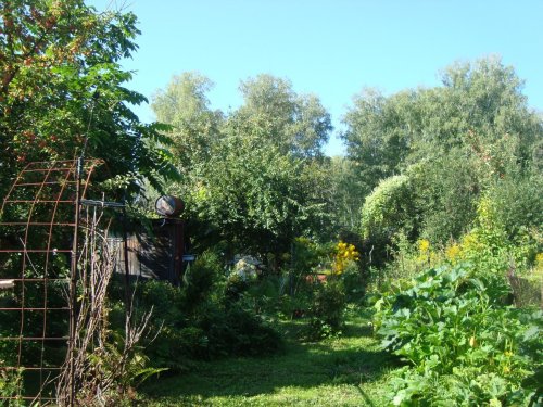 DSC06822.JPG