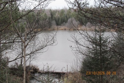 IMG_0001.JPG